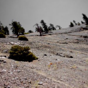 NSL003 Rock Slides