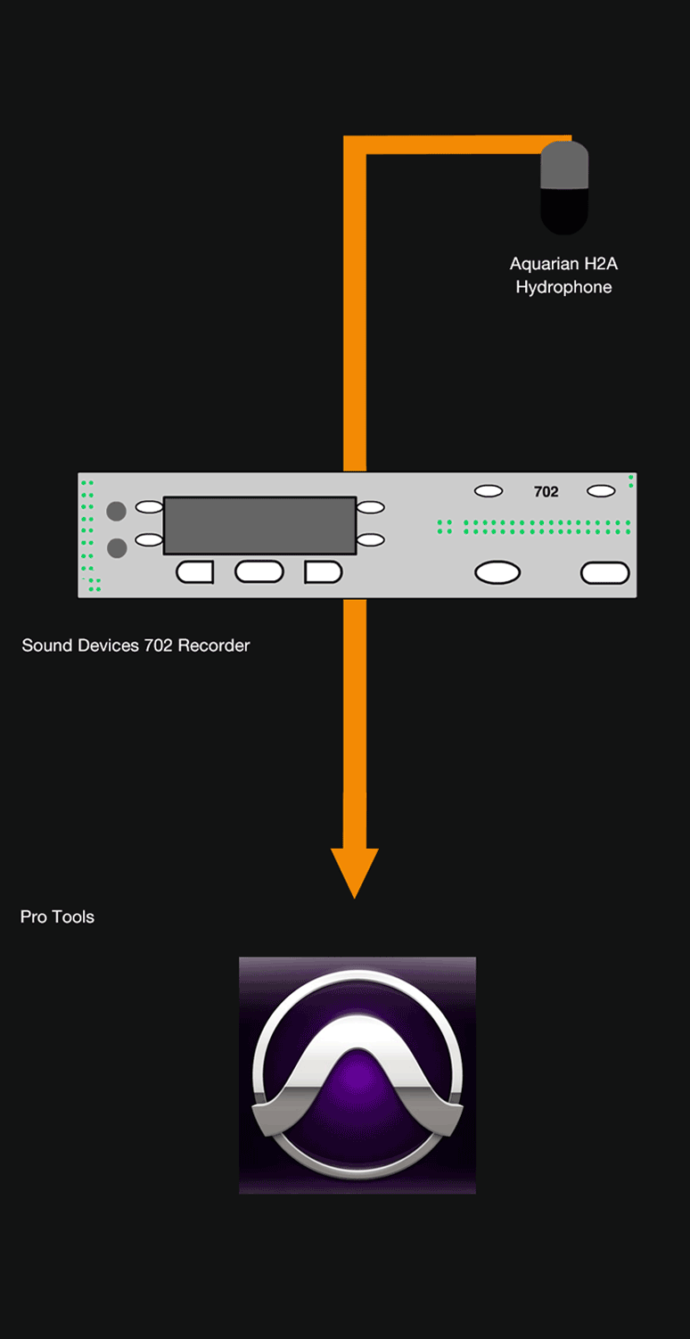 Library Signal Chain